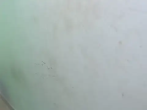 dirty megan22 online show from 03.23.25