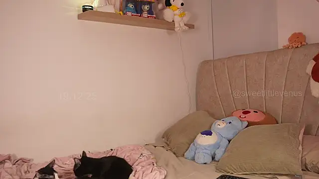 sweetlittlevenus online show from 12.19.25