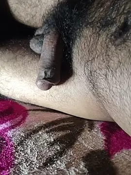 Mr skywalker online show from 02.04.26