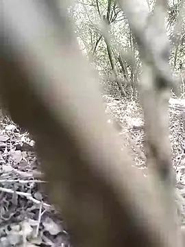 CertifiedSatisfier online show from 11.12.25