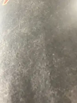 anthonyroth online show from 11.06.25