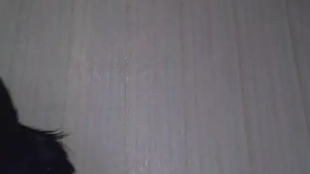  Black-Panther  online show from 10.20.25