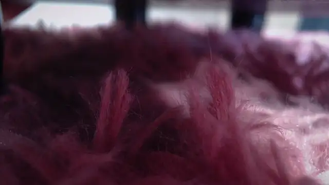 Taylor dolll online show from 10.01.25