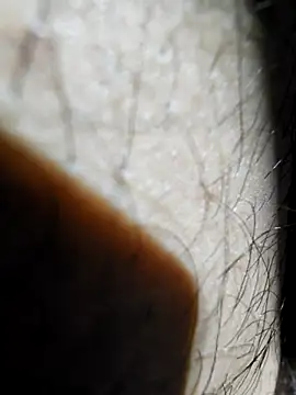 ikeike-kun online show from 11.26.25