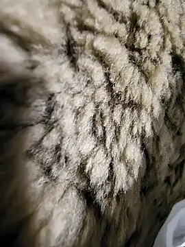 ikeike-kun online show from 12.02.25