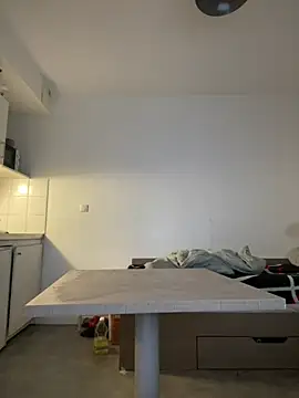 Renoirmonter online show from 01.15.26