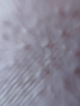 Snapshot of So8nan chatting on 09.21.25 So8nan online show from 09.21.25