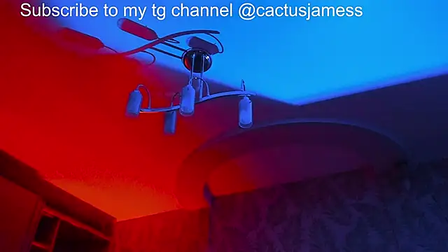 Snapshot of Cactus__James chatting on 11.21.25 Cactus James online show from 11.21.25