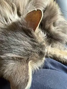 Max 965 online show from 03.30.26