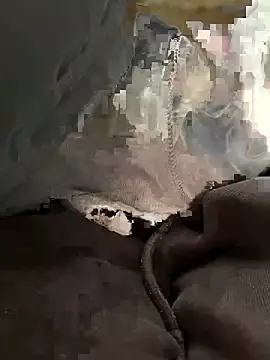 bambi lu online show from 03.05.26