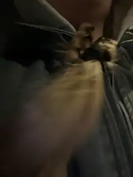 bambi lu online show from 03.15.26