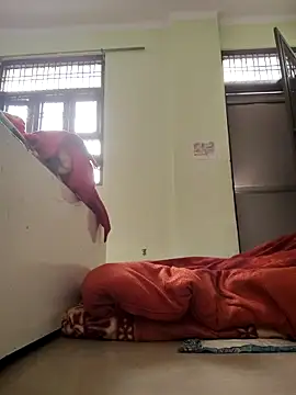 Desi Bhabi 01 online show from 02.04.26