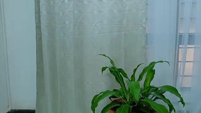 EbonyHorrny online show from 09.15.25