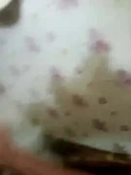 Snapshot of zim200 chatting on 04.12.26 zim200 online show from 04.12.26