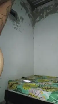 David tatto1 online show from 04.14.26