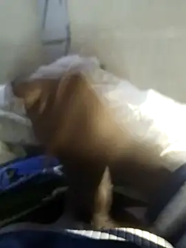 Snapshot of 92donis chatting on 11.20.25 92donis online show from 11.20.25