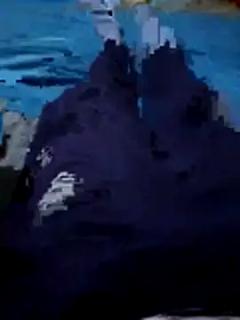 Snapshot of 92donis chatting on 12.01.25 92donis online show from 12.01.25