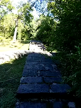 zack23088 online show from 10.04.25