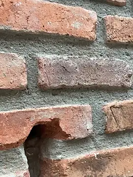 Jacksonfranco online show from 02.11.26