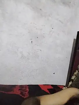 salimbasha online show from 07.28.26