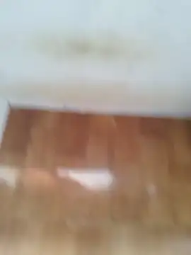 Snapshot of O_Mascarado_NK chatting on 03.21.26 O Mascarado NK online show from 03.21.26