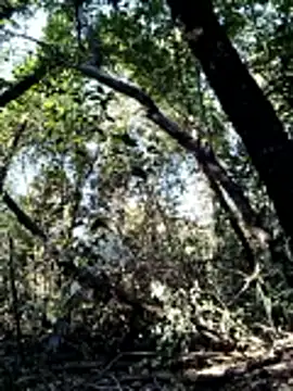 KalendaXL online show from 04.04.26