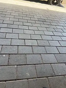 Snapshot of kamo012000 chatting on 02.11.26 kamo012000 online show from 02.11.26