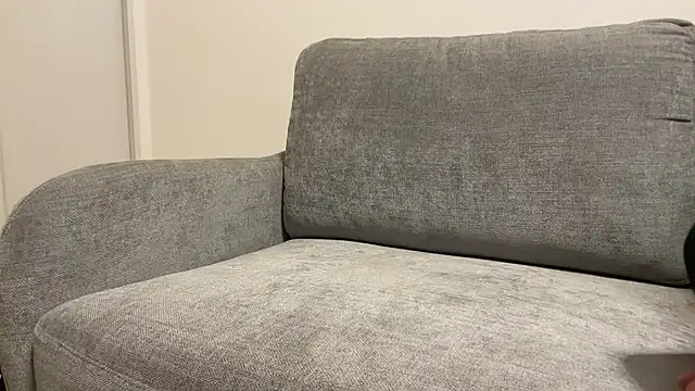 p-nyan4 online show from 02.23.26