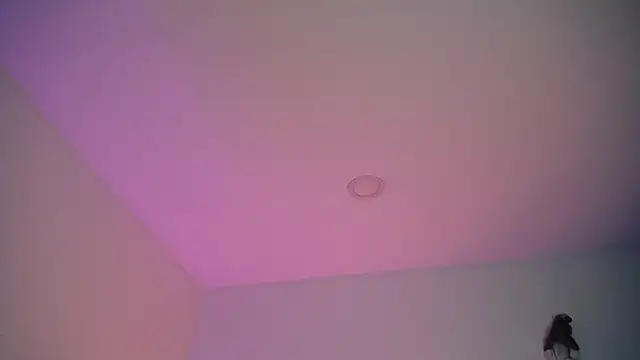 Snapshot of Stepha_babe chatting on 09.08.25 Stepha babe online show from 09.08.25