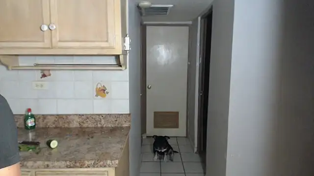 BlondZilla online show from 11.17.25