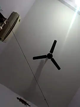 Snapshot of monster-dickk chatting on 12.02.25 monster-dickk online show from 12.02.25