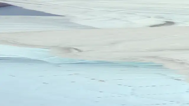 crystal sm online show from 09.18.25