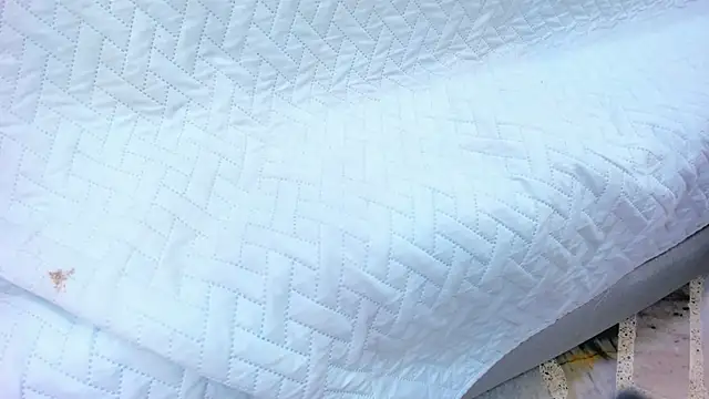 crystal sm online show from 02.13.26