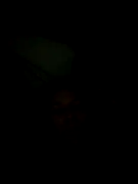 Snapshot of lis2025 chatting on 03.21.26 lis2025 online show from 03.21.26