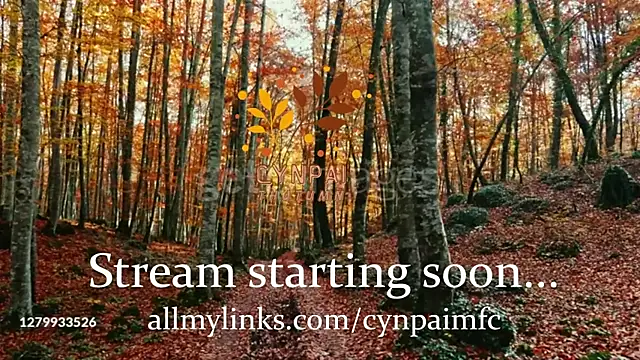 Cynpai online show from 11.17.25