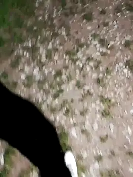 ARTANIS20 online show from 10.21.25