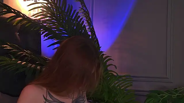 AriWild online show from 06.14.26