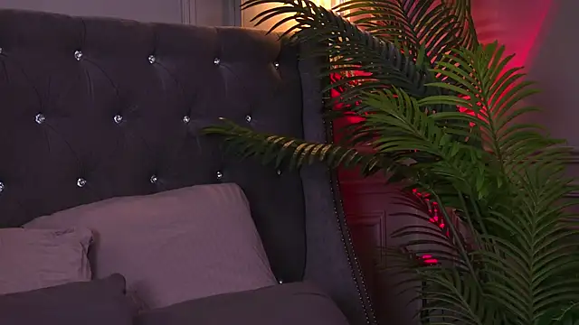 AriWild online show from 07.12.26