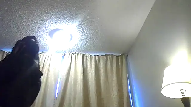 Flossee online show from 02.13.26