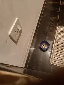 Snapshot of HootedTuner chatting on 11.13.25 HootedTuner online show from 11.13.25