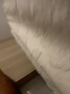 DoctorArabe3 online show from 02.12.26