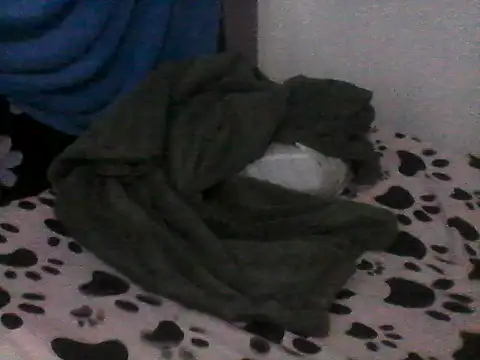 jade tall online show from 10.19.25