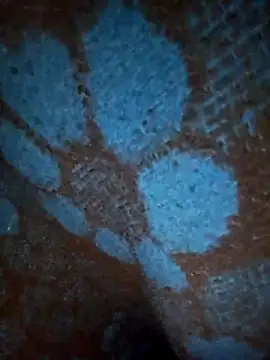 Snapshot of ParousFlow chatting on 01.19.26 ParousFlow online show from 01.19.26