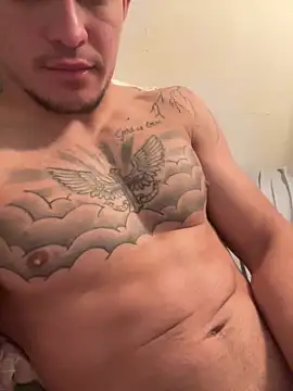 df240 online show from 12.03.25