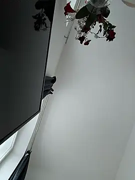 SexyLeon8 online show from 01.14.26