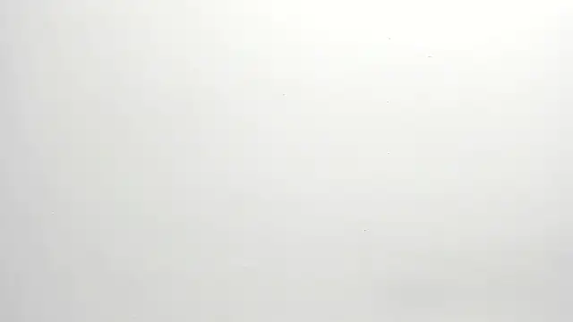 ximena vasquez8 online show from 12.17.25