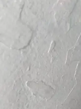 Snapshot of yaraa49 chatting on 10.23.25 yaraa49 online show from 10.23.25