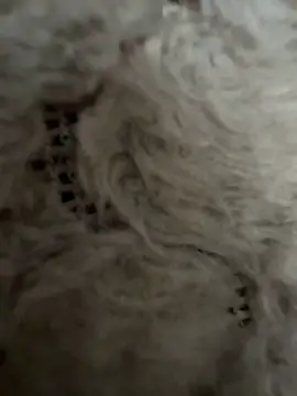 Snapshot of anonimgirl18old chatting on 06.13.26 anonimgirl18old online show from 06.13.26