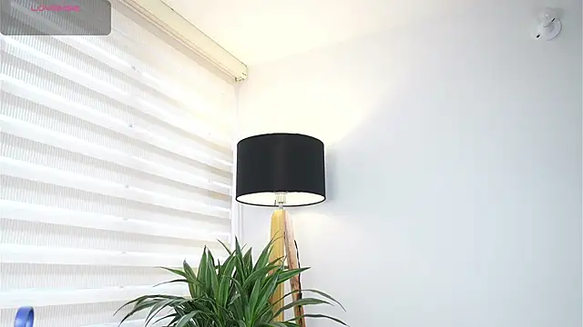 DeusbelliS online show from 10.14.25