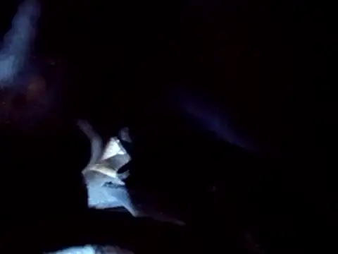 Snapshot of PENTHOUSECEOCLUBHOUSEPRES chatting on 11.25.25 PENTHOUSECEOCLUBHOUSEPRES online show from 11.25.25